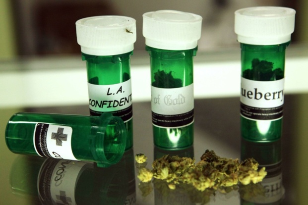 Un premier pas vers la dépénalisation du cannabis ?