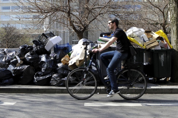 Le monde merveilleux des ordures