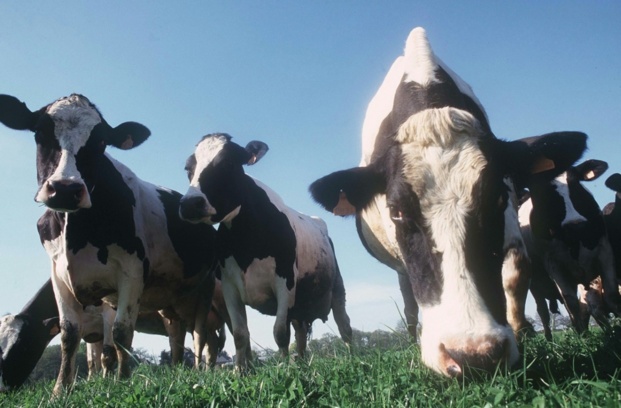 Oui, une agriculture bretonne bonne, propre et juste, c'est possible!